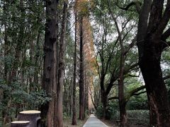 -同里国家湿地公园