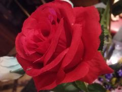 -欢乐星KTV全国连锁(盛融店)