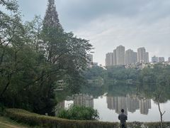 -重庆彩云湖湿地公园
