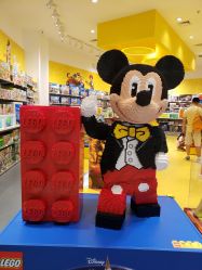 -乐高授权专卖店(华采天地店)