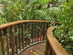 -正佳雨林生态植物园