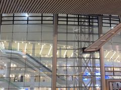 -梦之蓝青奥体育公园体育馆