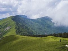 -秦岭风景区