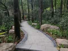 -广州市帽峰山景区