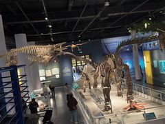 -国家自然博物馆