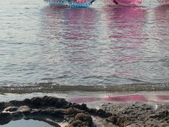-上海月湖雕塑公园