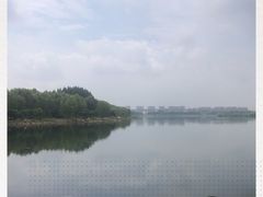 -丁香湖公园