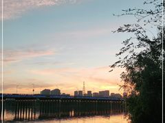 -长白岛森林公园