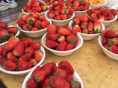 -上海浦南农副产品批发市场