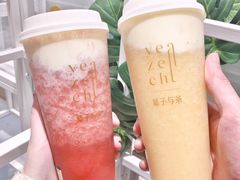 -叶子与茶(苏宁广场店)