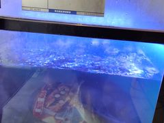 -鱼酷活鱼烤鱼(静安大融城店)
