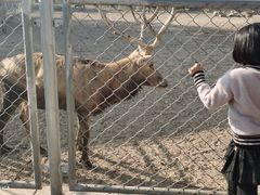 -宿豫区运河湾森林动物园