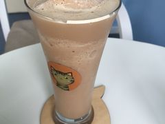 -喵的天空名猫咖啡馆·撸猫·猫舍·用品