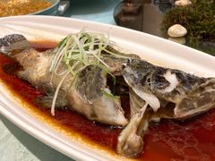 清蒸老虎斑-太湖饭店·寄畅轩中餐厅