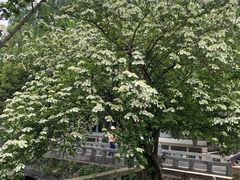 -苏州文庙(姑苏区)