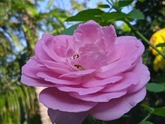 -维乐口腔医院(福清院)