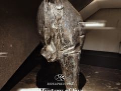 -止观小馆·辽河口渔家菜(王府井店)