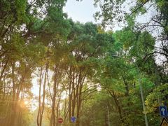 -青龙山国家森林公园