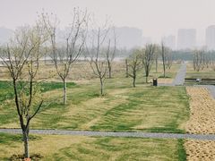 -汉长安城未央宫国家考古遗址公园