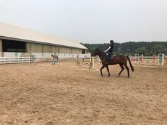 -月河湾马术俱乐部(朝阳店)