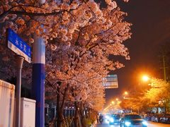 -永乐路-路侧停车场