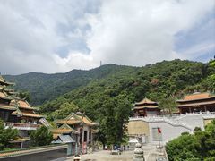 -南海湾森林生态园