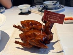 -侨美食家·41年地道粤菜(珠江新城店)