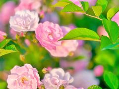 -苏州太湖国际会议中心