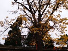 -金堂县云顶石城风景区