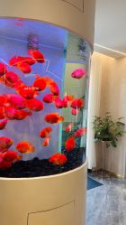 -新蝶变皮肤管理中心