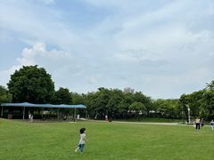 -海珠儿童公园