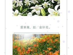 -瑞派申生动物医院·24H夜诊·国际动物医疗中心·骨外科(吴中路店)