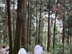 -南岳衡山风景名胜区