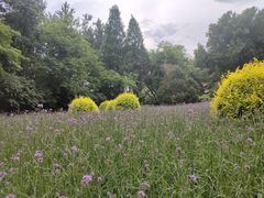 -秦皇岛野生动物园