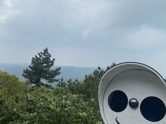 -雨花胜境