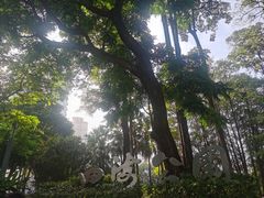 -四海公园(南山区)