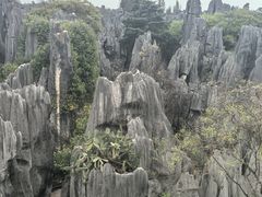 -三塔倒影公园