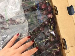 -菜园坝水果市场