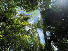 -七仙岭温泉国家森林公园