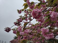 -大蜀山国家森林公园