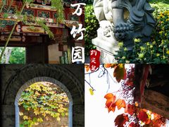 -趵突泉景区