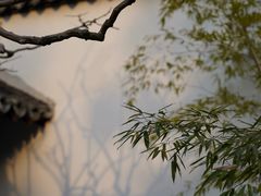 -上海醉白池公园