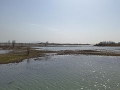 -苏州太湖湖滨国家湿地公园