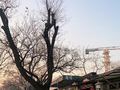 -五进制 Coffee Shop