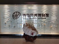 -青岛贝壳博物馆