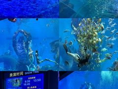 -波塞冬旅游度假区