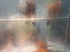 -永兴烧腊