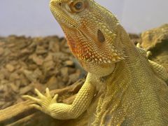 -昆明大悦城未来动物城(螺蛳湾中心店)