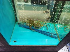 -鲜味食族水产·海鲜餐厅