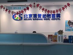 -北京观赏动物医院·24小时大型综合·猫专科·异宠专科
